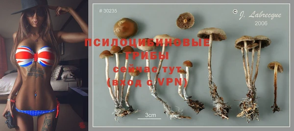 дурь Абдулино