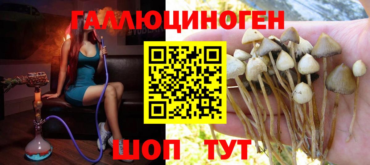 Псилоцибиновые грибы Magic Shrooms  Вход с VPN  Южноуральск  Псилоцибиновые грибы прущие грибы 