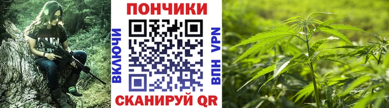 где найти Южноуральск Каннабис индика